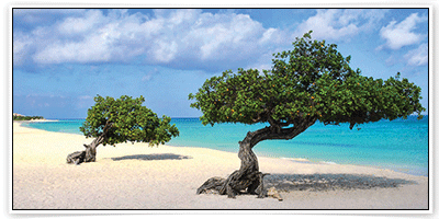 จองโรงแรม ราคาถูก ราคาพิเศษ ที่เมือง อีเกิ้ลบีช (Eagle Beach) 
