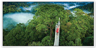 จองโรงแรม ราคาถูก ราคาพิเศษ ที่เมือง มอนเตเวอร์ด (Monteverde)