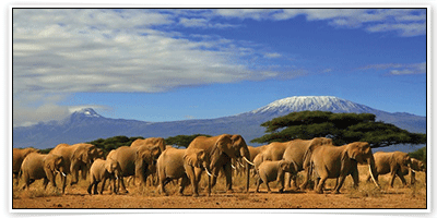 อุทยานแห่งชาติอัมโบเซลี (Amboseli National Park)
